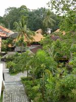 Ausblick aus Hotelzimmer Hotel Champlung Sari in Ubud