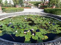 Terrassengärten Isola Bella