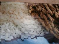 Tenuto Castello Desana-Reis