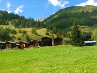 Fahrt mit dem Glacier-Express (Goms)