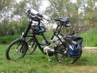 die E-Bikes