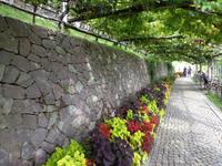 Vielfältige Farbenpracht