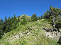 Walmendingerhorn in Mittelberg