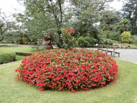 Botanische Gärten der Villa Taranto in Intra