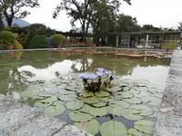 Botanische Gärten der Villa Taranto in Intra