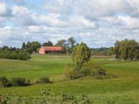 In der Johannisburger Heide