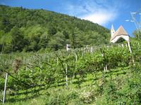 IMG_1744