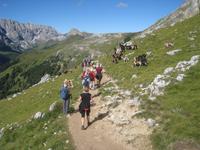 König Friedrich August Weg