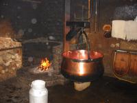 in der Schaukäserei Affoltern