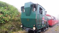 233 Fahrt mit der Brienzer Rothornbahn