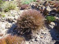 am Strand auf der Sins-Halbinsel