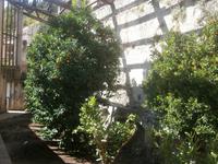 La Limonaia del Castel