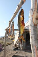 kleiner Stand am Straßenrand