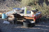 süßer kleiner Fratz