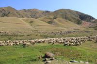 in der Turgen-Schlucht