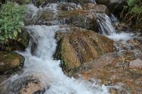 in der Turgen-Schlucht