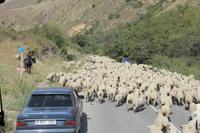 in der Turgen-Schlucht