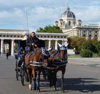 Kutsche vorm Maria Theresien Platz