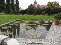 botanischer Garten 