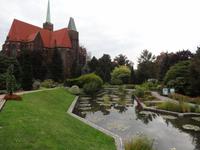 botanischer Garten 