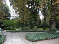 botanischer Garten 