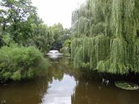 botanischer Garten 
