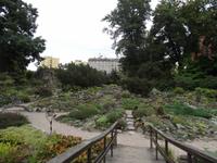 botanischer Garten 