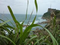 Geopark 