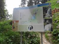SAM_0658