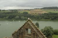 ...Blick vom Linlithgow Palace...