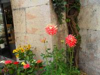 SAM_0668
