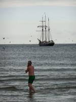 Die gruene Robbe Jens in der Nordsee
