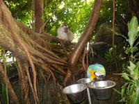 Regenwald in Randers 