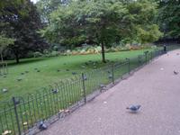 St. James`Park