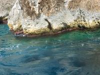 Schiffsrundfahrt Insel Capri 