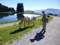 Wanderung zum Filzalmsee Brixen im Thale/Hochbrixen