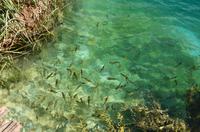 034 NP Plitvicer Seen