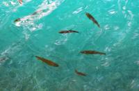 043 NP Plitvicer Seen