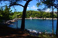 121 Auf der Insel Lokrum