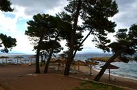 203 Inselrundfahrt Rab