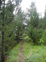 Wanderung durch Vall d´ Incles