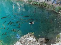 Wandern in den Plitvicer Seen