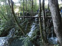 Wandern in den Plitvicer Seen