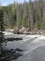 Motiv von der Natural Bridge