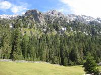 Auf dem Weg zur Gampenalm