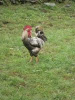 Luxemburg - für Genießer und Wanderfreunde