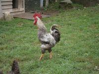 Luxemburg - für Genießer und Wanderfreunde