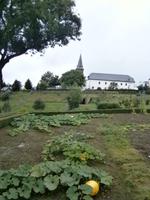 Luxemburg - für Genießer und Wanderfreunde