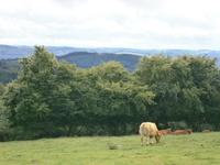 Luxemburg - für Genießer und Wanderfreunde