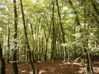 Luxemburg - für Genießer und Wanderfreunde